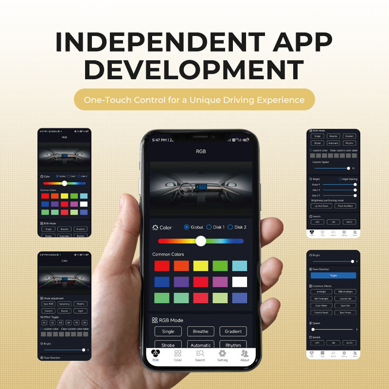 Premium Multi-Color Car Ambient Light Kit